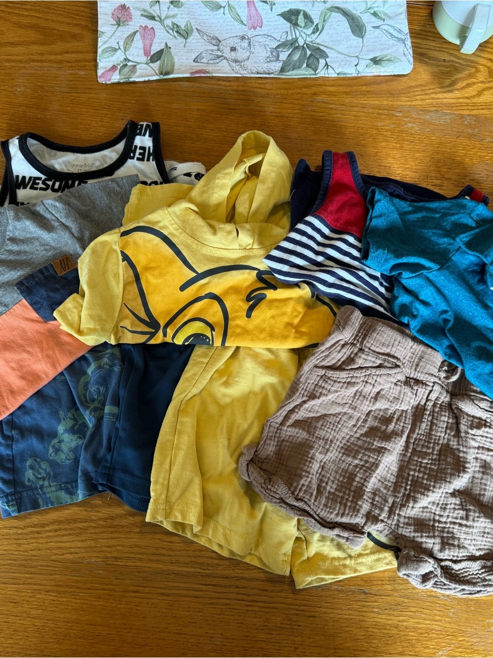Boys 2 and 3 T summer clothing lot.